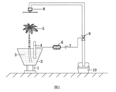 放射性污染土壤治理的植物修復(fù)系統(tǒng)的示意圖